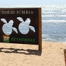 Vacation 2011 Brazil